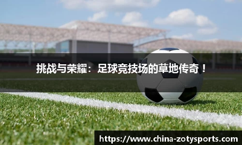 挑战与荣耀：足球竞技场的草地传奇 !