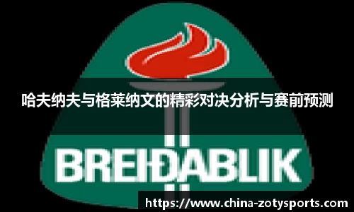 中欧体育官方网站
